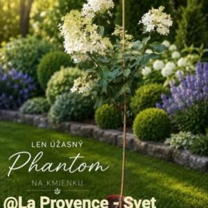 Phantom na kmienku